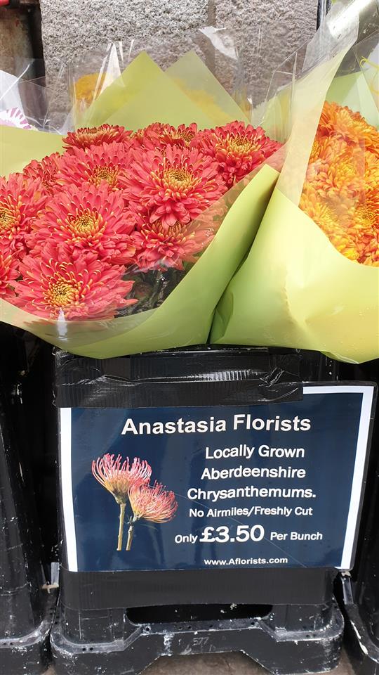 Locally grown Aberdeenshire chrysanthemums. Loads of colours. Only £3.50 a bunch
